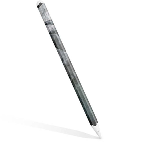 Alchemy Carta Ravens Curse Apple Pencil (2nd Gen 2019) Skin